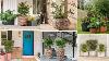 67 Best Front Door Flower Pots U0026 Porch Planters Garden Ideas