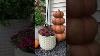 Fall Front Porch Decor Fall Decorating Ideas Fall Front Door Decorations