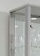 Glass Display Cabinet Tall 2 Door Mirrored LED Light Shelves Vapes Toys
