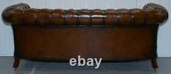 Very Rare Curved Front Fully Restored Cigar Brown Leather Chesterfield Club Sofa